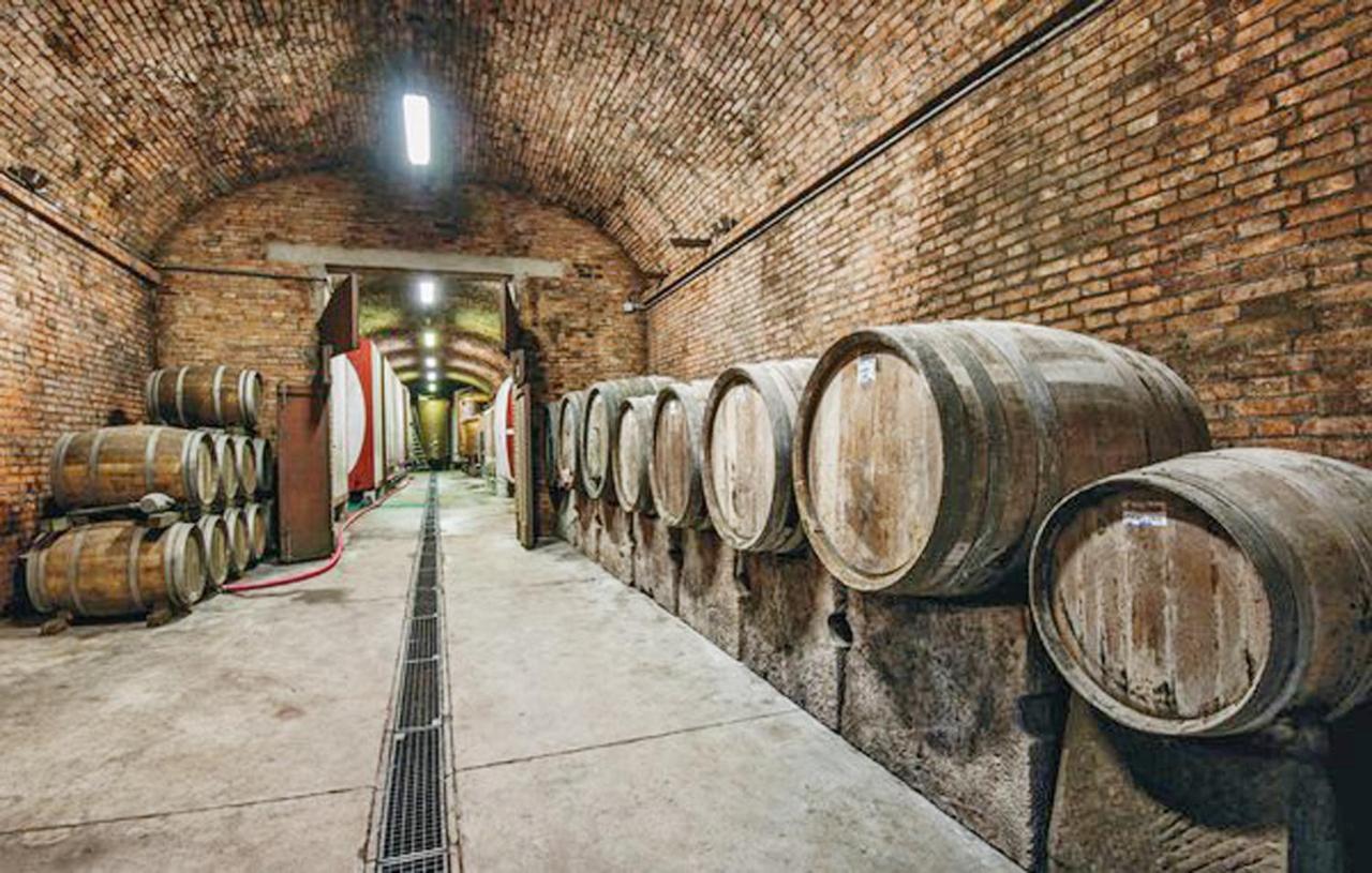 Agriturismo Fattoria Il Piano - Casa Tosca - San Gimignano Bagian luar foto