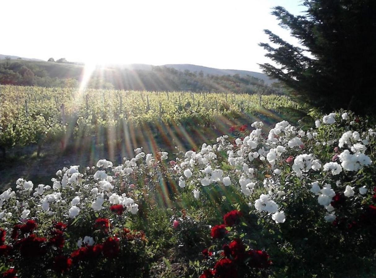 Agriturismo Fattoria Il Piano - Casa Tosca - San Gimignano Bagian luar foto